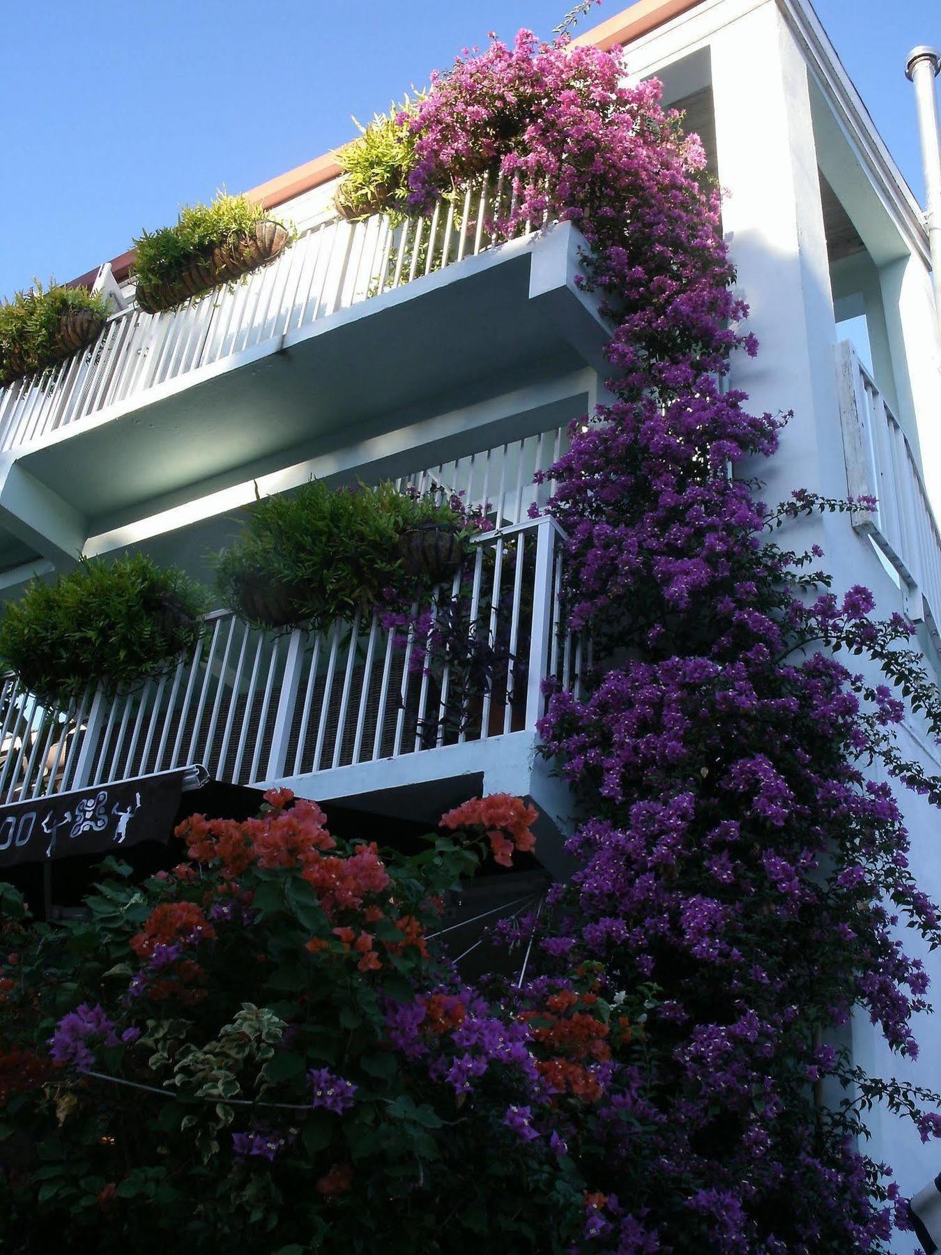 Cruz Bay Boutique Hotel Exteriör bild